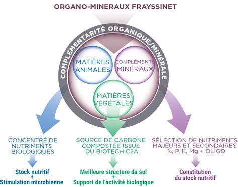 Infographie comparant les avantages des engrais organiques et minéraux
