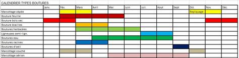 calendrier des périodes de bouturage par type de plante