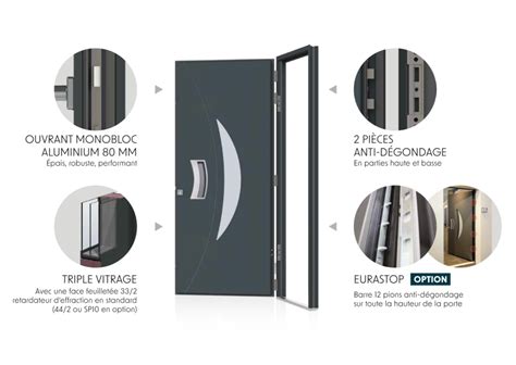 Porte monobloc moderne avec motif Hibiscus