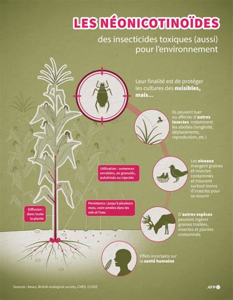Infographie sur les principaux ravageurs de l'hibiscus et leurs signes
