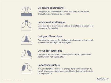 Schéma illustrant les différentes composantes du DCG et la place du projet tutoré
