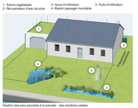gestion de l'eau dans le jardin