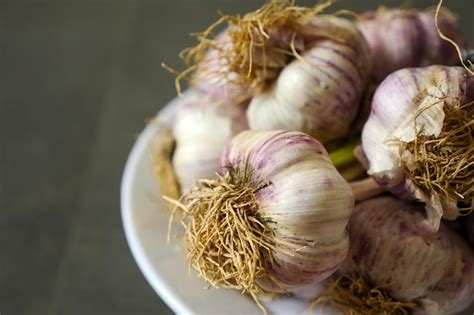 Têtes d'ail frais