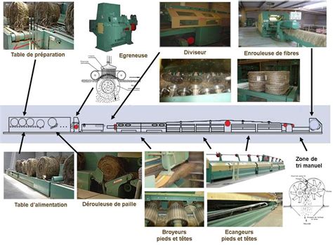 Infographie du processus de teillage du lin