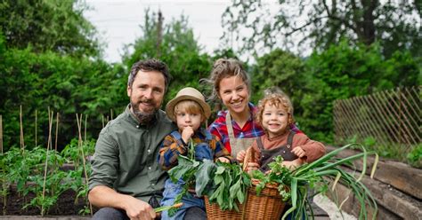Famille cultivant des légumes bio