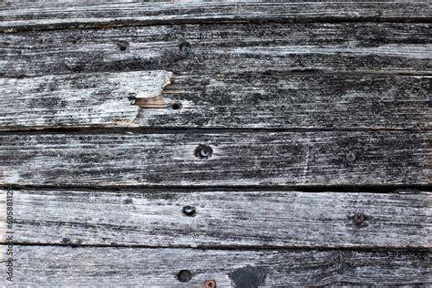 Photo d'une citation peinte sur une vieille planche de bois dans un jardin