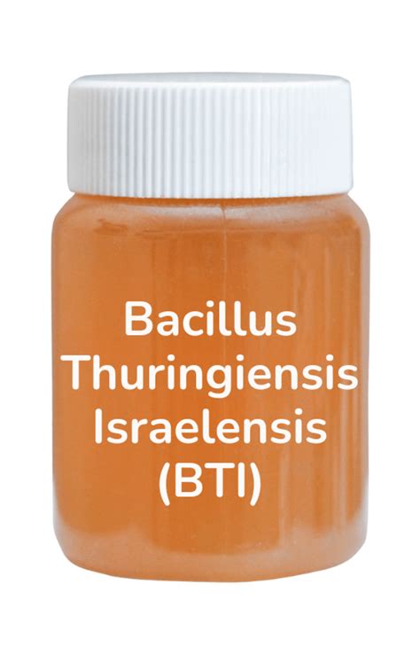 Bacillus thuringiensis israelensis pour les moucherons