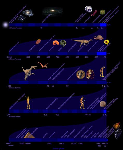 Chronologie de l'évolution du blé