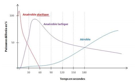 Schéma comparatif de la décomposition aérobie (compostage) et anaérobie (enfouissement)