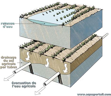 Schéma comparant le drainage d'un sol argileux et d'un sol amendé