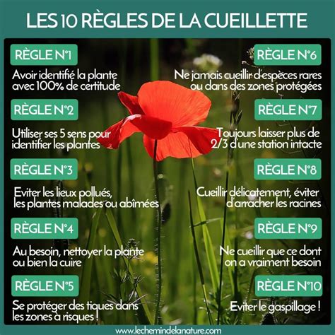 Illustration de règles de cueillette responsable