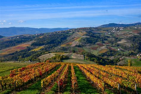 Paysage rural diversifié illustrant la transition entre les prairies normandes, les vignobles du Beaujolais et les montagnes du Velay