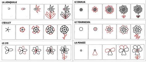 Étapes de dessin d'une grande fleur