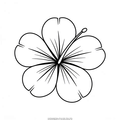 Dessin d'une fleur détaillée et originale