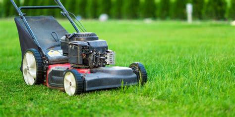 Différents types de tondeuses mulching