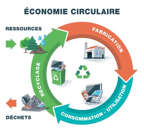 Schéma de l'économie circulaire des copeaux de bois