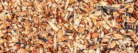 allée de jardin paillée avec du broyat de bois