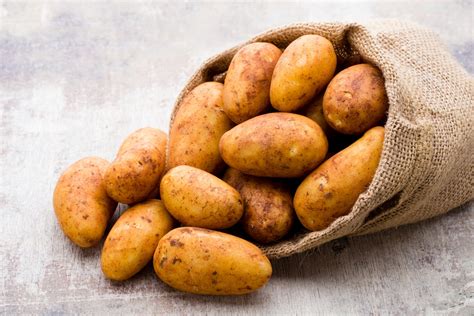 Illustration du prégermage des pommes de terre