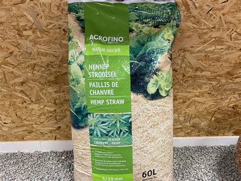 Paillage de chanvre autour de plants de fraises