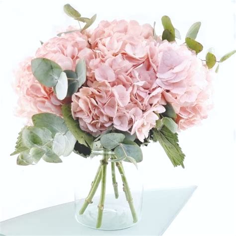 Image d'un bouquet d'hortensias