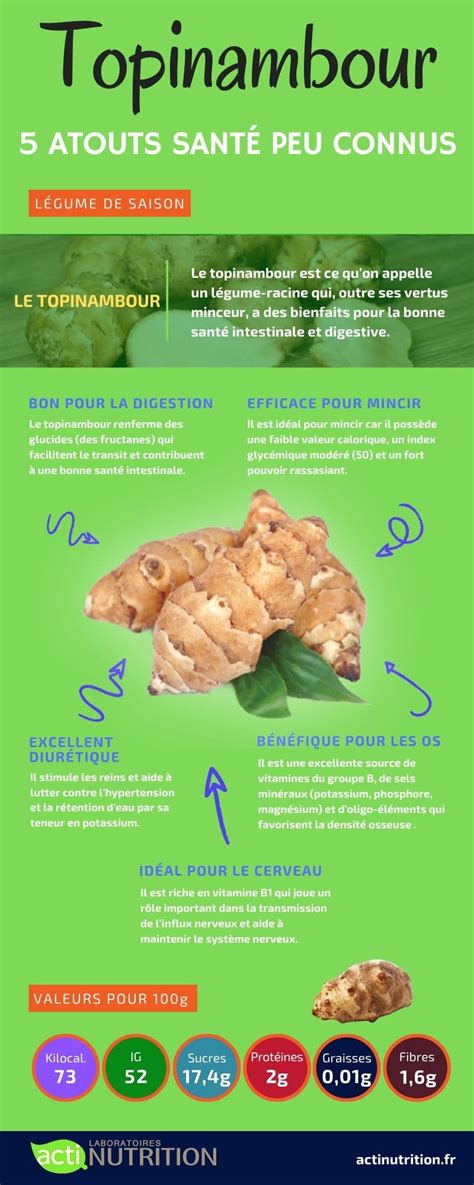 Infographie sur les bienfaits nutritionnels du topinambour