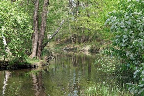 Mares et ripisylve en milieu bocager
