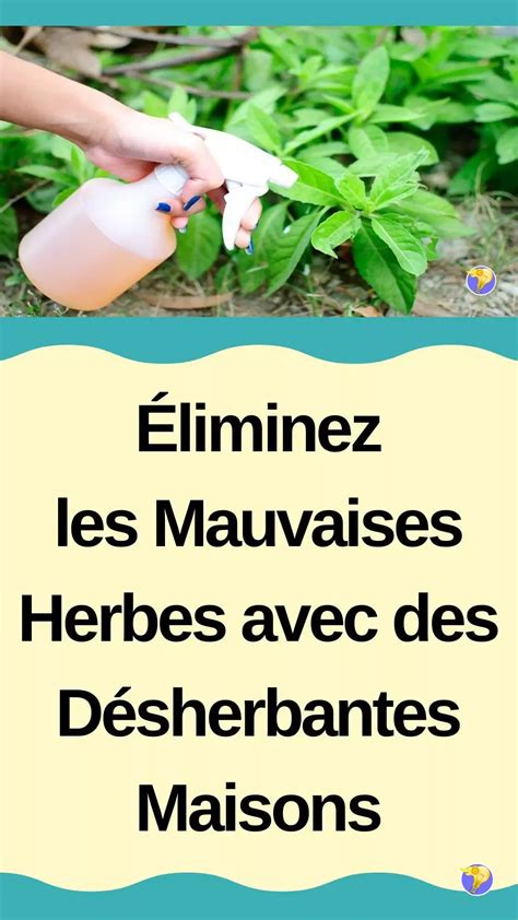 schéma de l'action des désherbants naturels