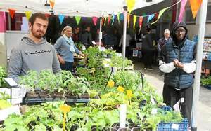 Photos de clients heureux repartant avec leurs plants lors des portes ouvertes