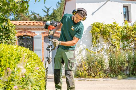 Paysagiste taillant un arbre dans un jardin bien entretenu
