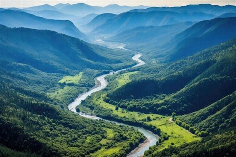 Peupliers dans une vallée fluviale