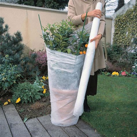 Illustration : Étapes d'installation d'un voile d'hivernage sur une plante en pot