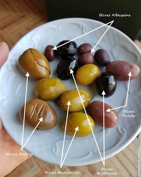 Différentes variétés d'olives