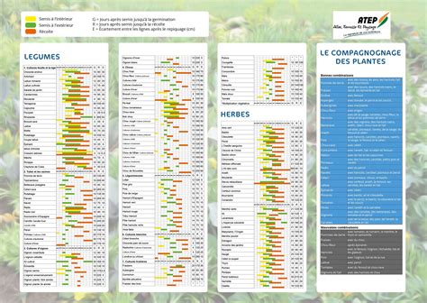Calendrier de plantation du gazon