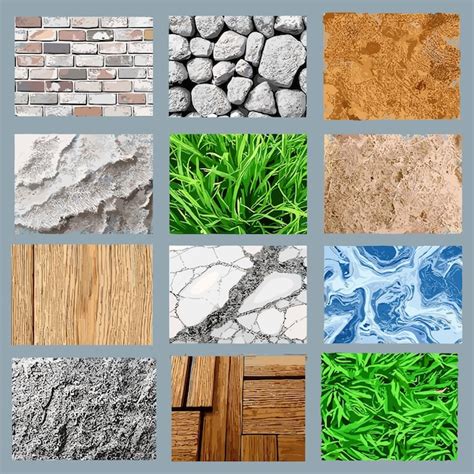 Exemple de différentes textures d'écorces d'arbres