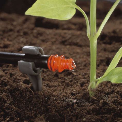 Système d'irrigation goutte-à-goutte en serre