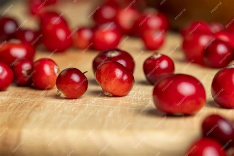 Canneberges rouges fraîchement récoltées