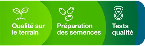 infographie sur les différences de rendement entre semences de qualité et semences bas de gamme