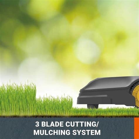 Vue rapprochée du système de coupe mulching