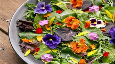 Edible Flowers Diversity