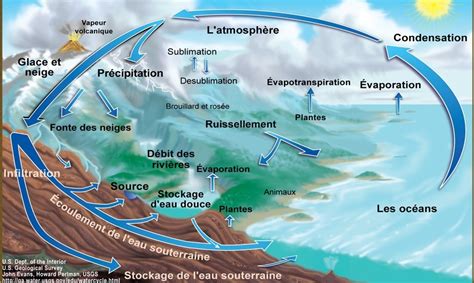 Schéma illustrant l'absorption et l'évaporation de l'eau dans le bois, montrant la formation de fissures