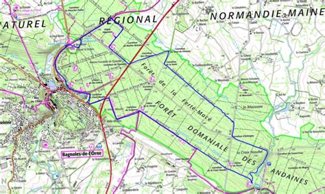 carte de la forêt des Andaines