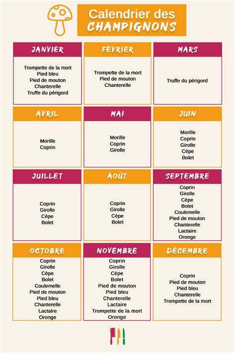 calendrier de cueillette des champignons