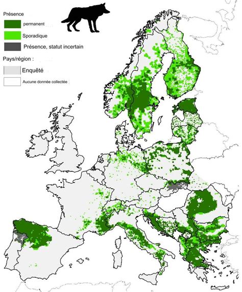 Carte de répartition des groseilles sauvages en Europe