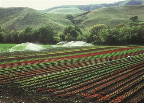 Horticulture paysage France