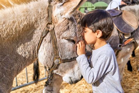 Enfants caressant des animaux dans une ferme