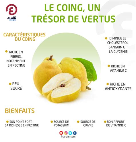 différentes utilisations du coing