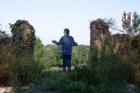 Photographie de la forêt semée par Fabrice Hyber