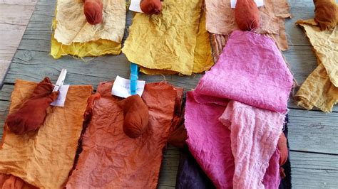 Œuvre textile d'Annalee Davis utilisant la teinture végétale
