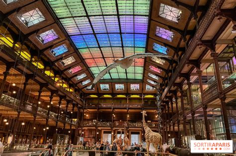 Photographie de Sarah Moon exposée à la Grande Galerie de l'Évolution