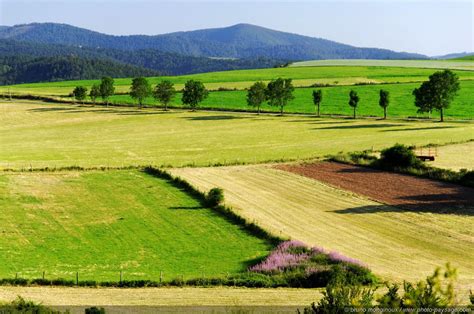 Paysage agricole de Saint-Martin